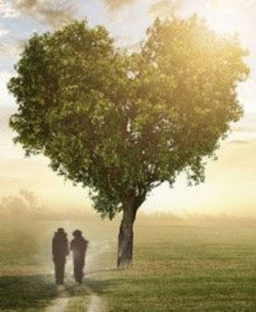 Picture of CSD Arkansas May 18-21, 2026