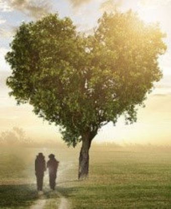 Picture of CSD Arkansas May 18-21, 2026